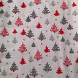 « Couverture Noël 30 »