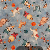 « Couverture 30 »