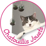 Chatouillis « Chaton 20 »